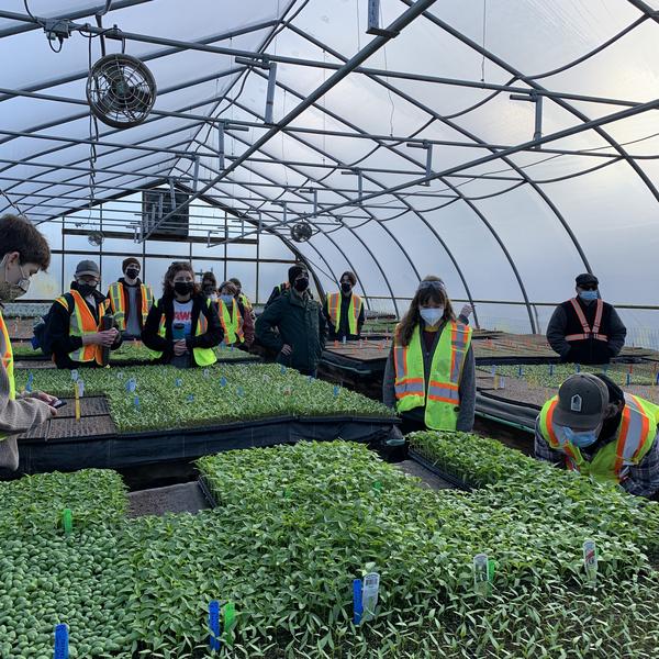 Horticulture students in a greenhouse filled with plants. 
