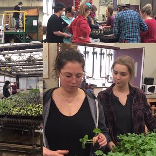 VIU Horticulture, Vancouver Island University, Horticulture, VIU