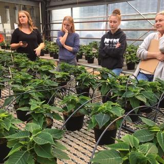 VIU Horticulture, Vancouver Island University, Horticulture, VIU, VIU Plant Shop