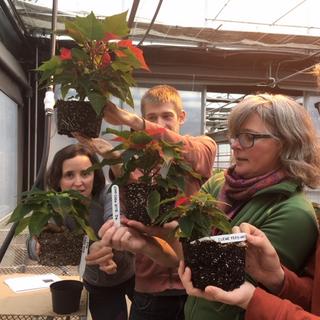 VIU Horticulture, Vancouver Island University, Horticulture, VIU