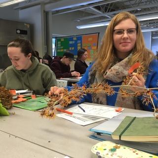 VIU Horticulture, Vancouver Island University, Horticulture, VIU