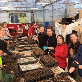 VIU Horticulture, Vancouver Island University, Horticulture, VIU, Green Thumb Nursery