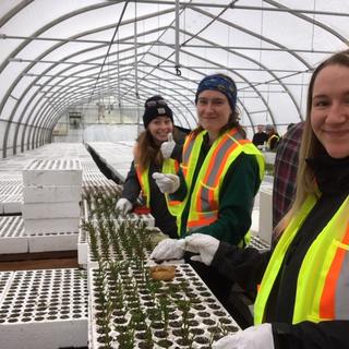 VIU Horticulture, Vancouver Island University, Horticulture, VIU, Sylvan Vale Nursery
