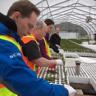 VIU Horticulture, Vancouver Island University, Horticulture, VIU, Sylvan Vale