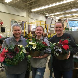 VIU Horticulture, Vancouver Island University, Poinsettias