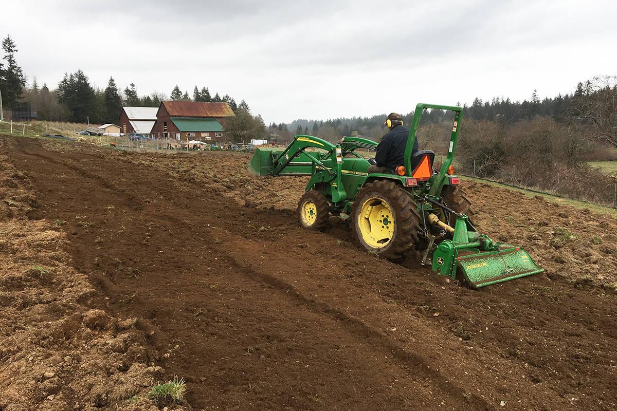 Rototilling new field at Cline Agri-health Centre in Nanaimo. (Vancouver Island University photo) Students working in a garden.